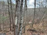 0 Crab Apple - Photo 1