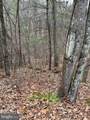 0 Crab Apple - Photo 2