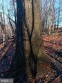  Gray Avenue - Photo 4