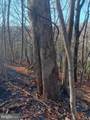  Gray Avenue - Photo 8
