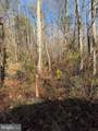 Lot 2 B Turkey Acres Road - Photo 2