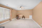 8410 Stargazer Lily Court - Photo 33