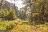  Big Draft Road - Photo 55
