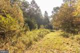  Big Draft Road - Photo 56