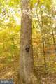  Big Draft Road - Photo 75