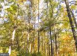  Big Draft Road - Photo 76