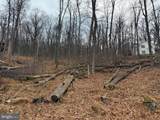 Lot 5 Deer Trail Road - Photo 1