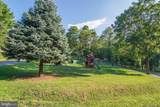 Lot 5 Deer Trail Road - Photo 5