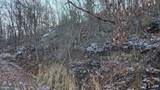  Arran Lane - Photo 4