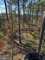  Robinson Neck Road - Photo 4