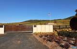 3834 Thomas Dairy Ln - Photo 73
