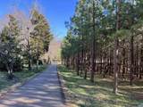 3123 Scottsville Rd - Photo 2
