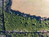  Folly Creek Rd - Photo 17