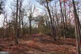  John Marshall Highway - Photo 28
