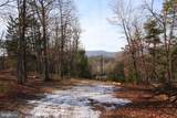  John Marshall Highway - Photo 30