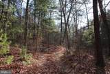  John Marshall Highway - Photo 34