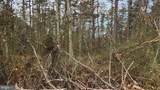 11901 Price Road - Photo 4