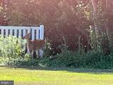 12033 Assateague Way - Photo 104
