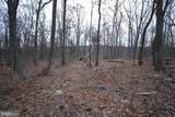 Lot 21 Gold Nugget Road - Photo 4