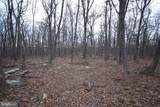 Lot 21 Gold Nugget Road - Photo 5