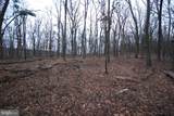 Lot 21 Gold Nugget Road - Photo 8