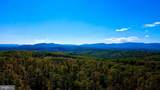 152.44 Acres Lot 2 Laurel Grove Road - Photo 12