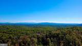 152.44 Acres Lot 2 Laurel Grove Road - Photo 14