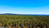 152.44 Acres Lot 2 Laurel Grove Road - Photo 15