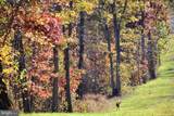152.44 Acres Lot 2 Laurel Grove Road - Photo 6
