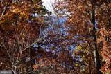 152.44 Acres Lot 2 Laurel Grove Road - Photo 8