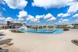 32150 Ivory Gull Way - Photo 61