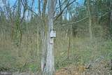 8103 Avis Mill Road - Photo 27
