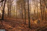 0 Kridlers Schoolhouse Rd - Photo 22