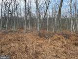103 AC Dove Drive - Photo 10