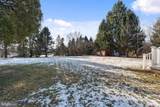 13809 Triadelphia Mill Road - Photo 44
