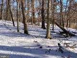 532 Stoney Battery Road - Photo 74