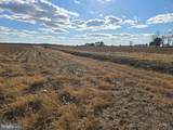 0 Lot 2 Poplar Neck Road - Photo 13