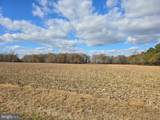 0 Lot 2 Poplar Neck Road - Photo 3