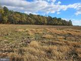 0 Lot 2 Poplar Neck Road - Photo 6