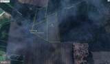 0 Lot 1 Poplar Neck - Photo 9