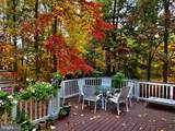 20503 Tanager Place - Photo 58
