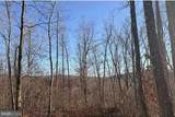 Lot 5, 34.53 Acres Lick Creek - Photo 9