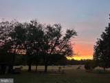 10222 Gold Dale Lane - Photo 5