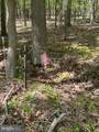 2389 White Oak Road - Photo 32