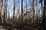 Mt Prospect Road - Photo 6