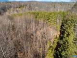 3.94 AC Peace And Quiet Cir - Photo 4