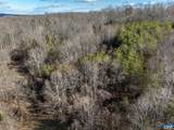 3.94 AC Peace And Quiet Cir - Photo 9