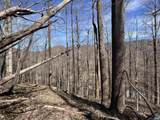 TBD Beech Grove Rd - Photo 1