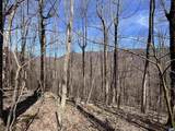 TBD Beech Grove Rd - Photo 13