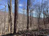 TBD Beech Grove Rd - Photo 2